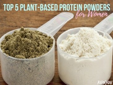 wow plant based protein powder review