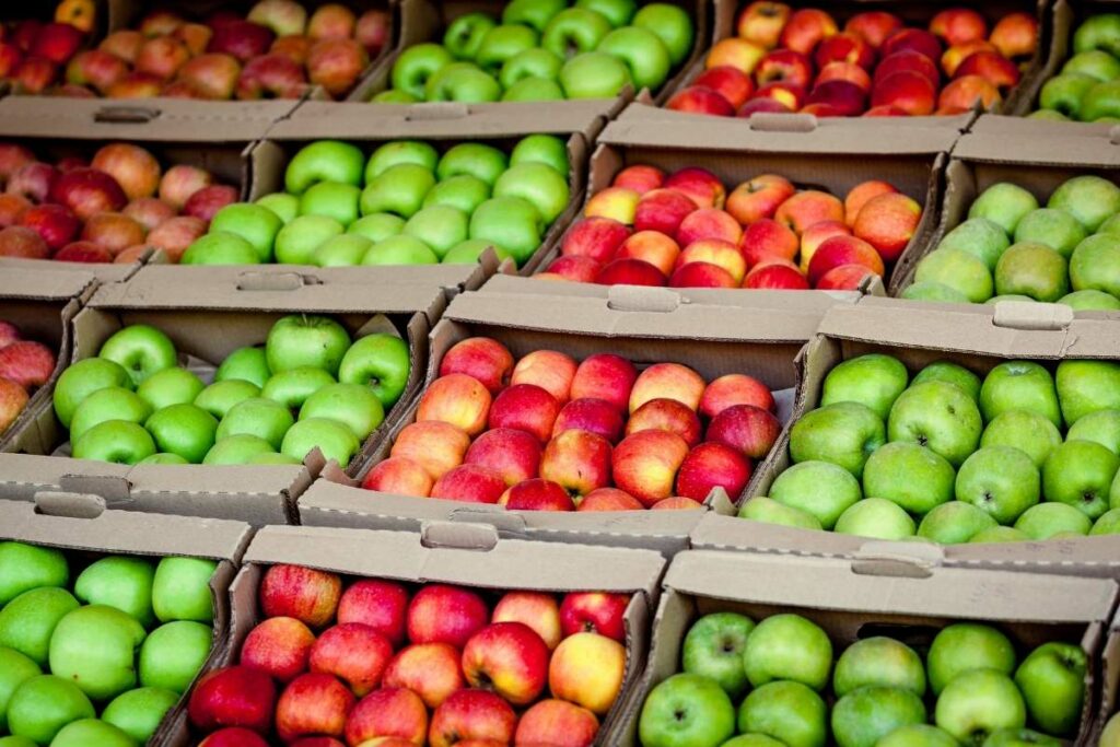 Zero Calorie Foods List Apples