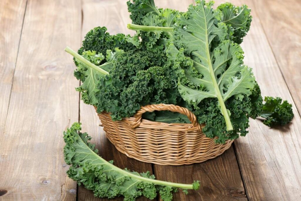 Zero Calorie Foods List kale