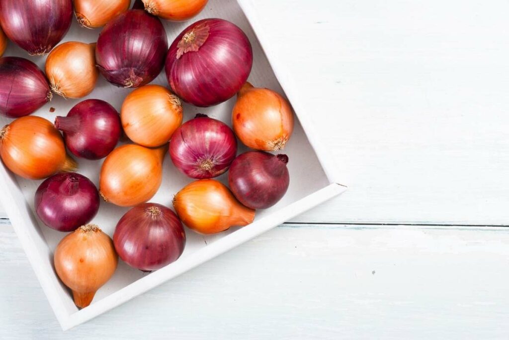 Zero Calorie Foods List onions