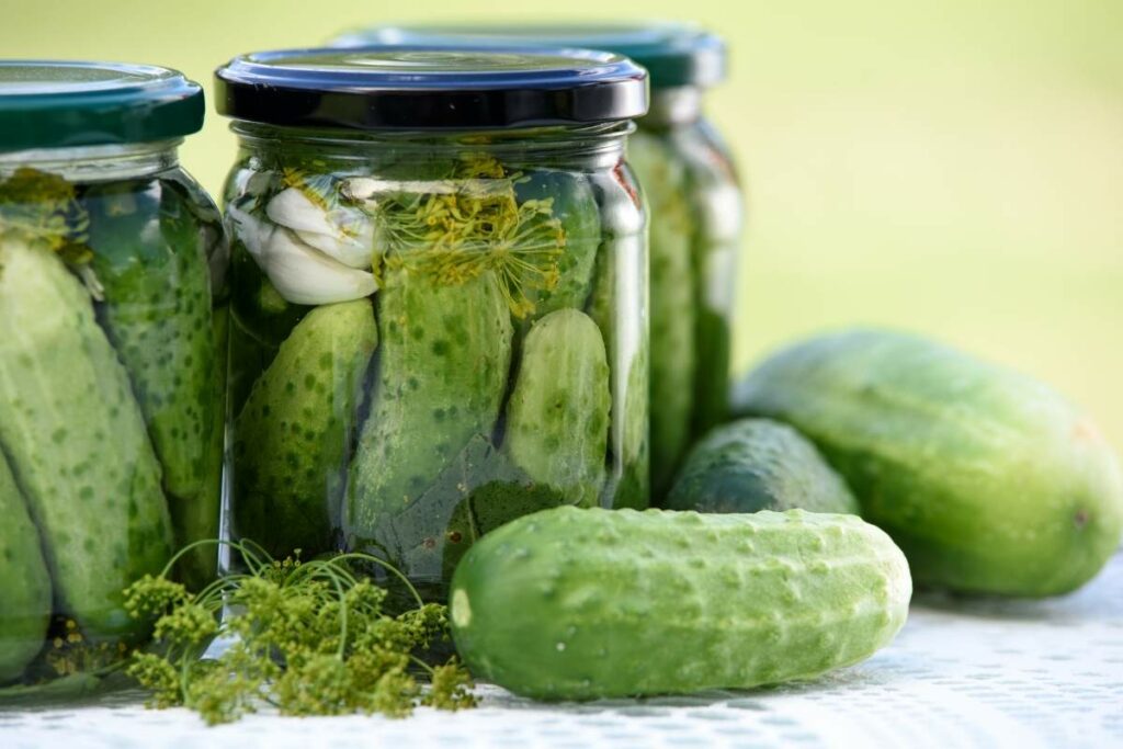 Zero Calorie Foods pickles