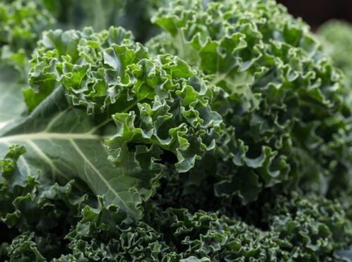kale is a plant-based food high in iron