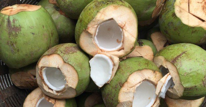 open green coconuts with milk
