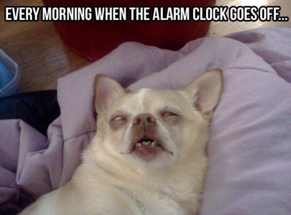 Every morning when the alarm goes off…