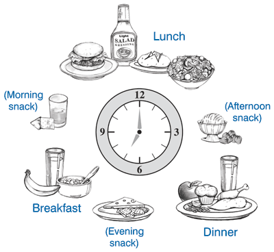 6 meals a day for metabolism 6 meals a day for metabolism