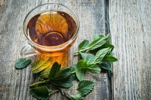 Green tea weight loss tips