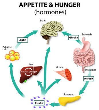 weight loss hormones to lose weight