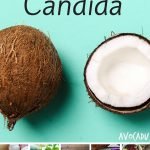 10 Foods That Kill Candida | Avocadu.com