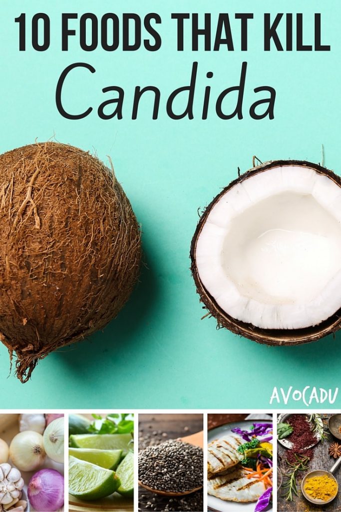 10 Foods That Kill Candida - Avocadu