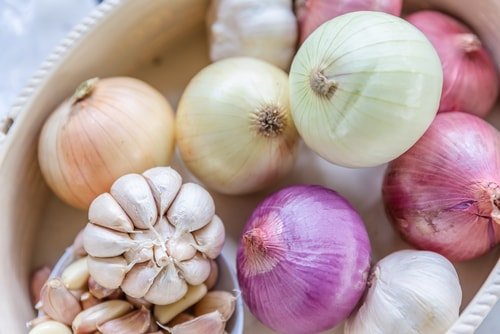 Garlic and Onions Candida