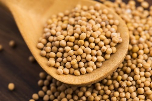 mustard seeds for weight loss