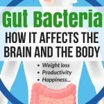 How Gut Bacteria Affects the Body and the Brain | Weight Loss | Avocadu.com
