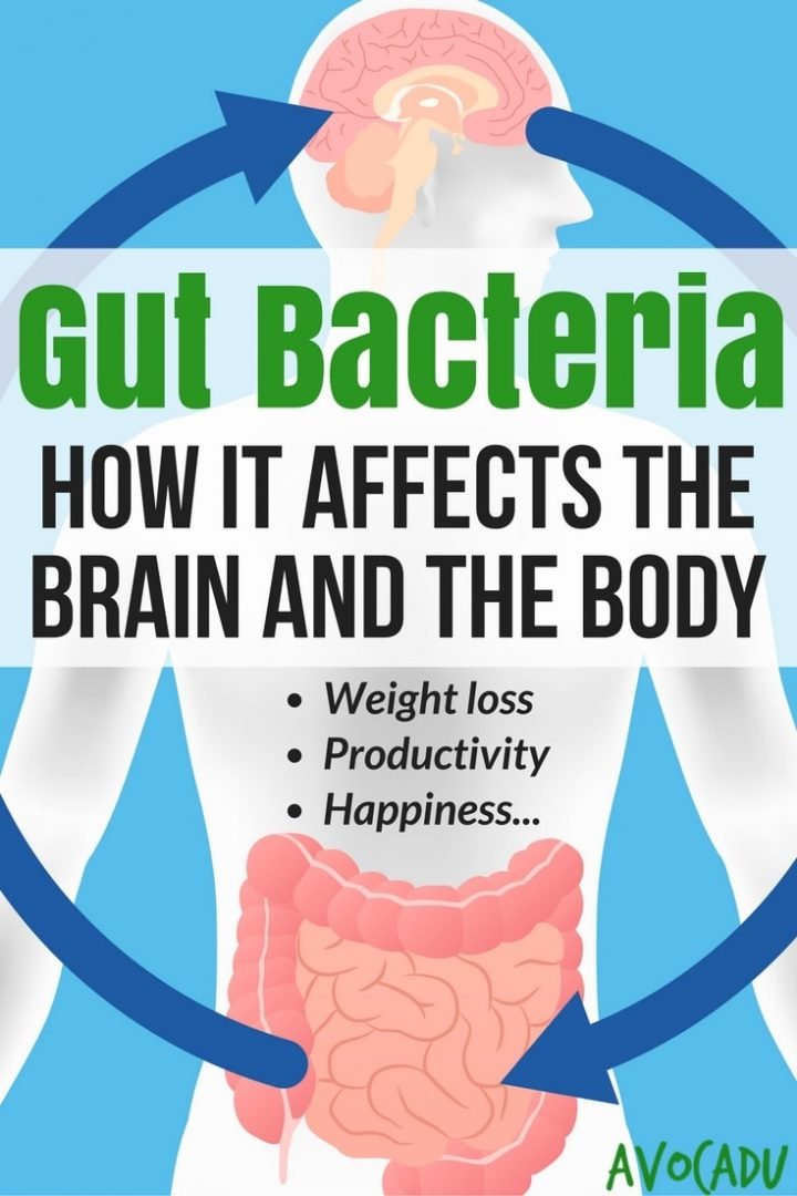 How Gut Bacteria Affects the Body and the Brain | Weight Loss | Avocadu.com