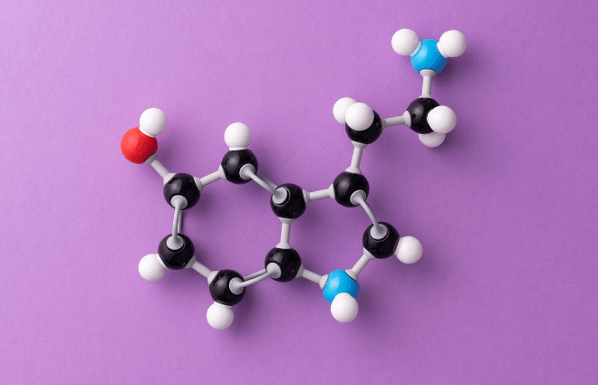 serotonin molecular model on purple background
