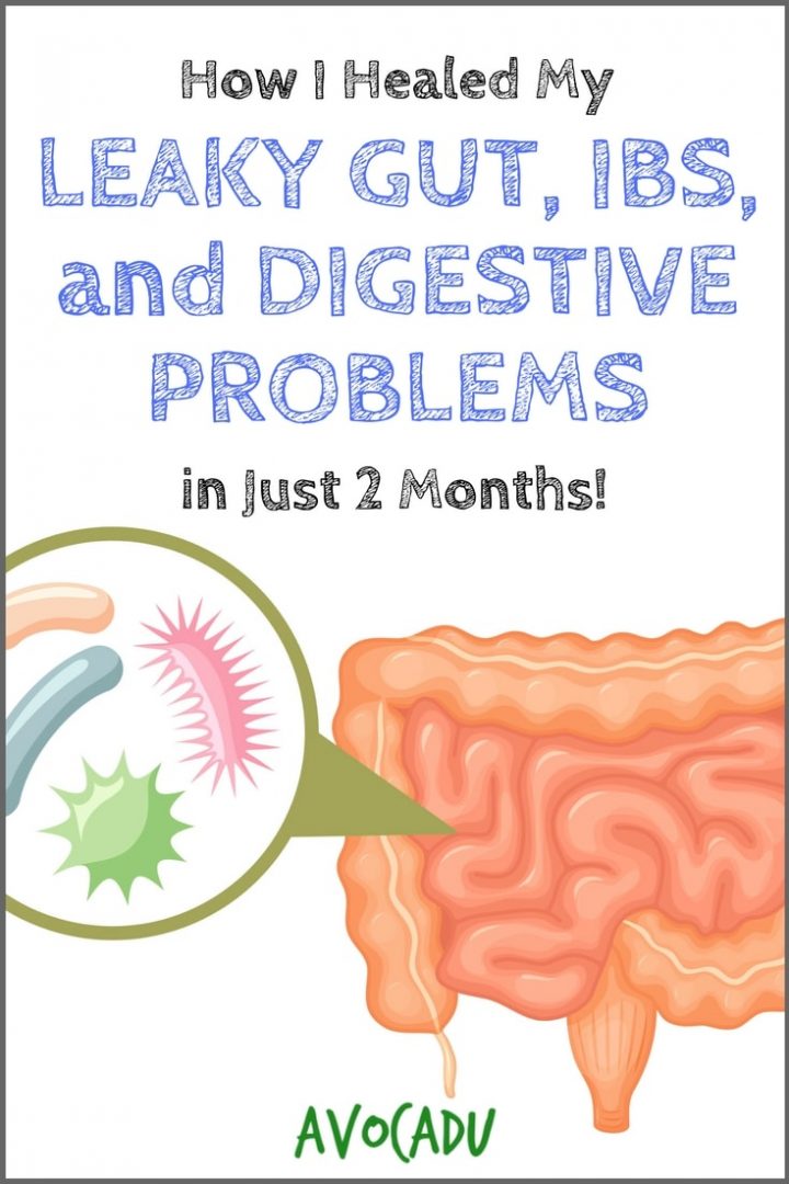 How I Healed My Leaky Gut, IBS, and Digestive Problems in 2 Months.