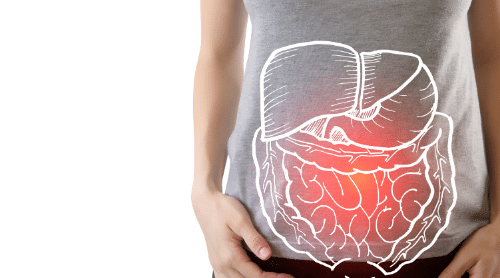 illustrated digestive system on woman's abdomen featured