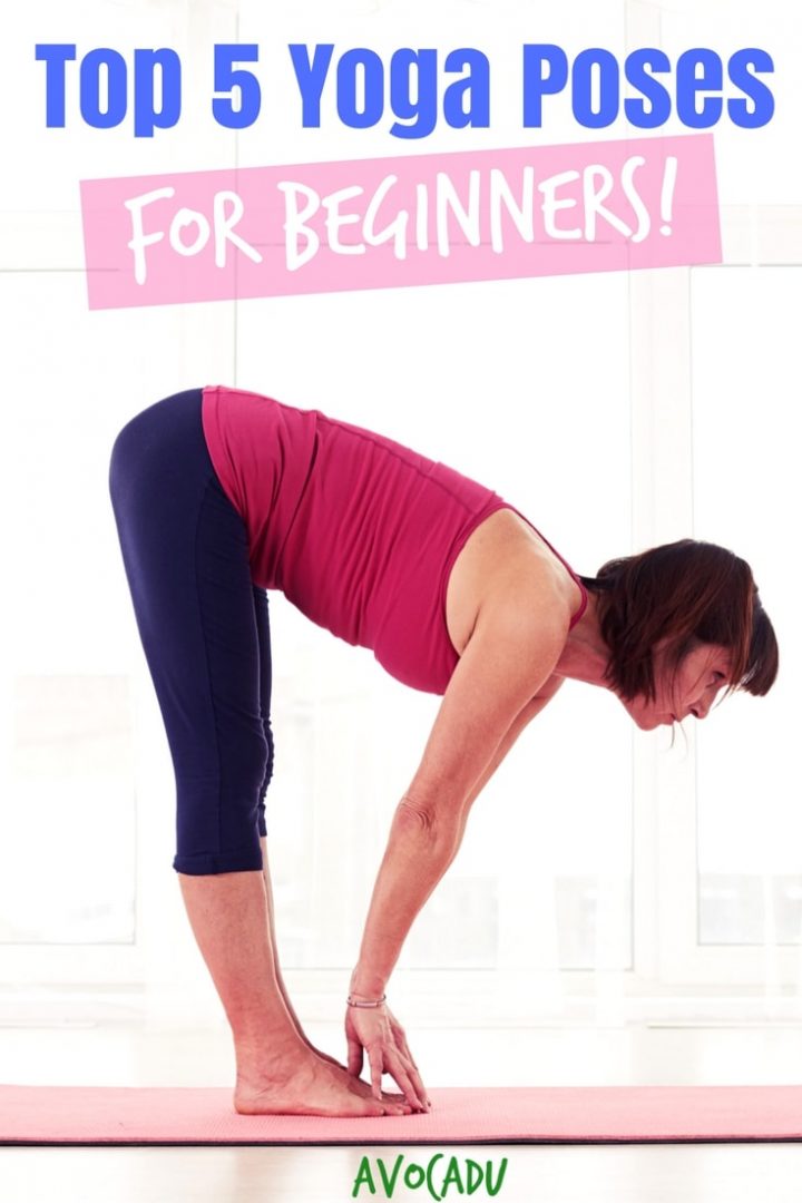 Top 5 Yoga Poses for Beginners | Avocadu