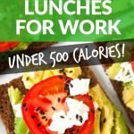 12 Healthy Lunches for Work Under 500 Calories | Healthy Recipes for Lunch | Recipes Under 500 Calories | Avocadu.com