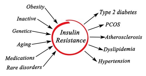 high insulin can cause PCOS