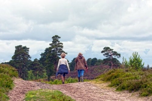 hiking to burn 500 calories