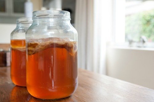 kombucha detox tea to lose weight