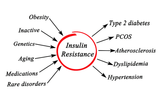 Insulin Resistance Diagram
