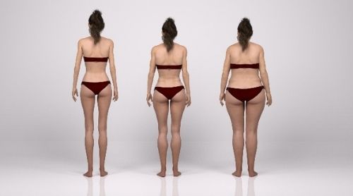 Metabolic ID Body Types