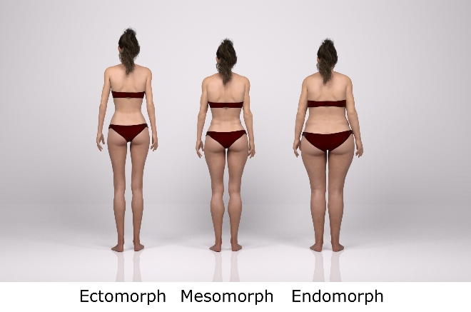 metabolic id body type