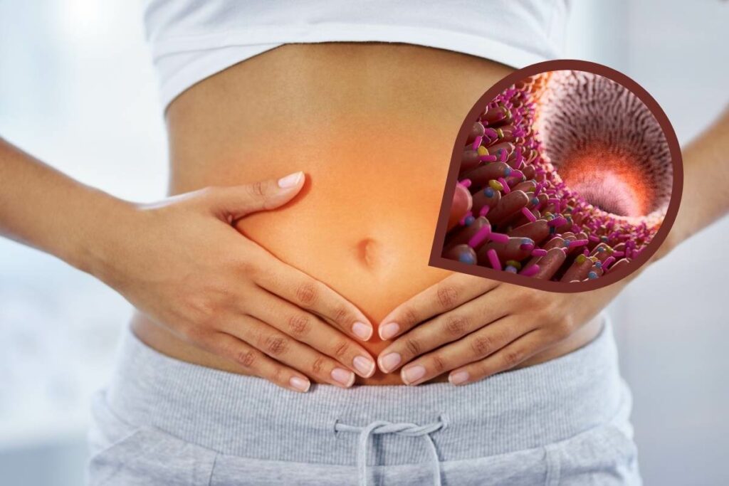 Are Probiotics Good For You gut health