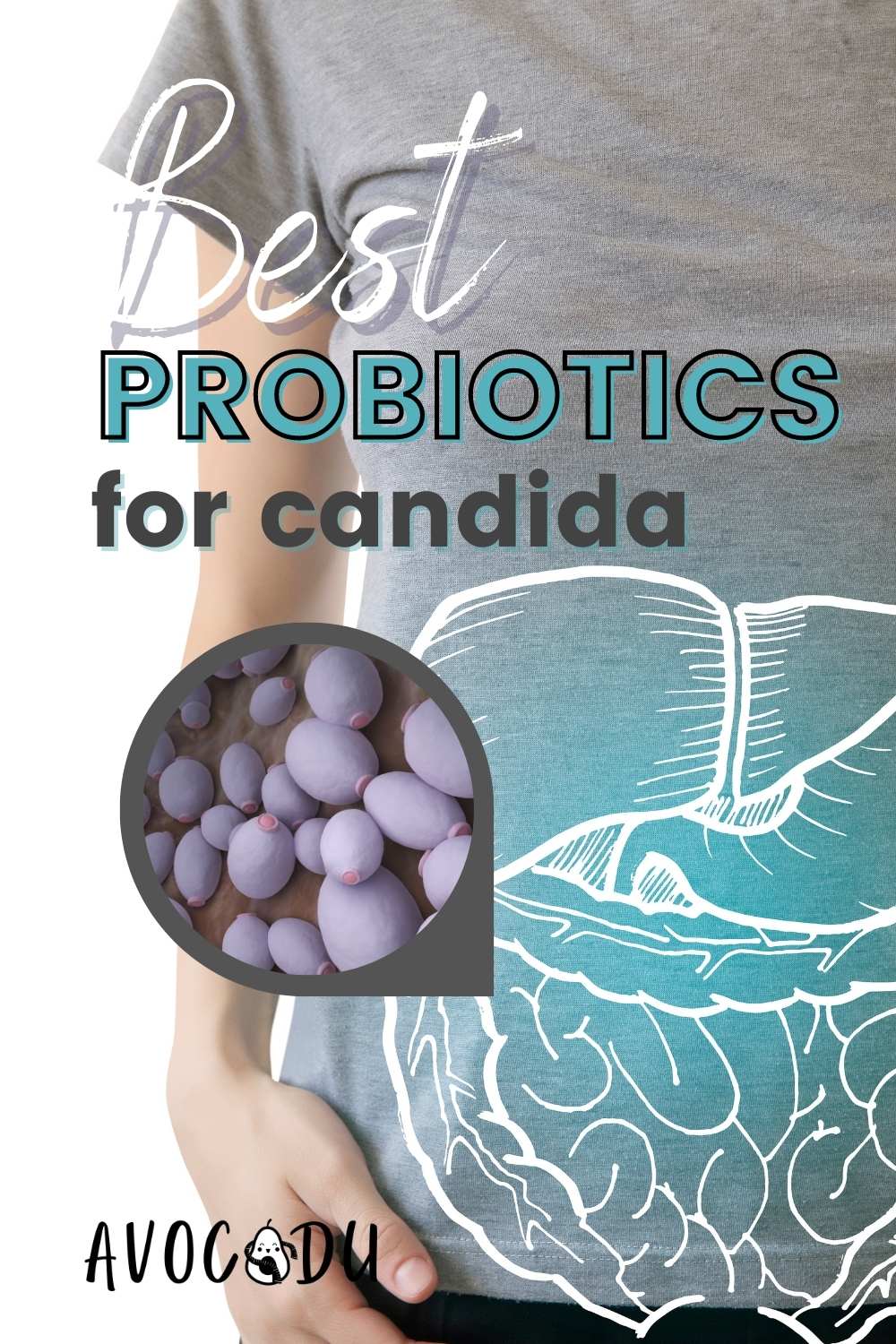 Best Probiotics for Candida How They Help and What to Look For