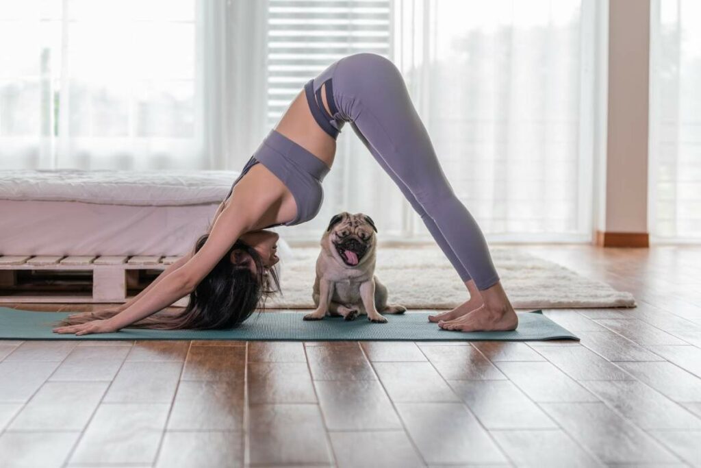 yoga for shoulder pain downward dog