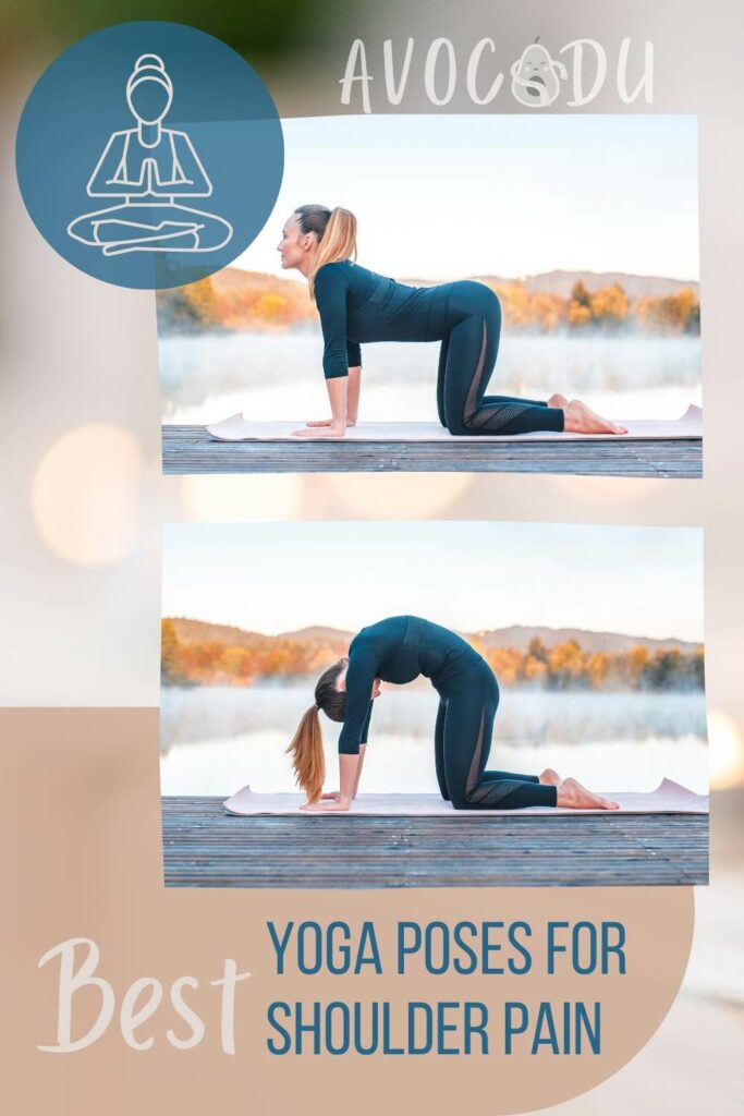 yoga poses for back pain PINTEREST