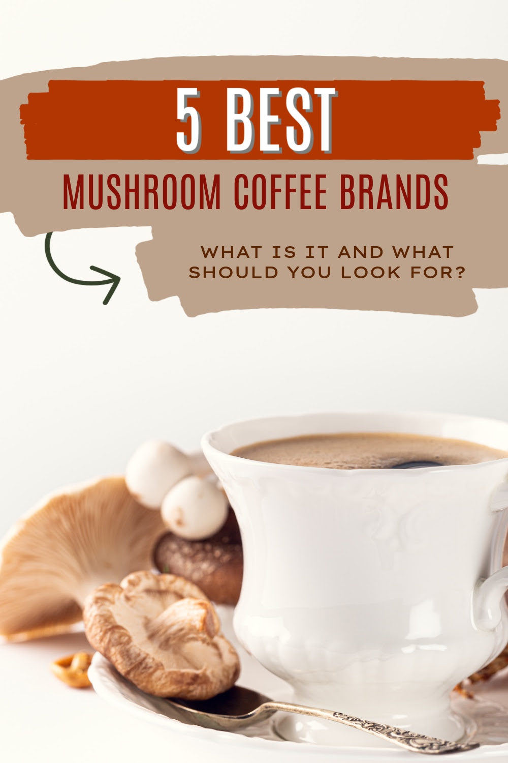 5 Best Mushroom Coffee Brands
