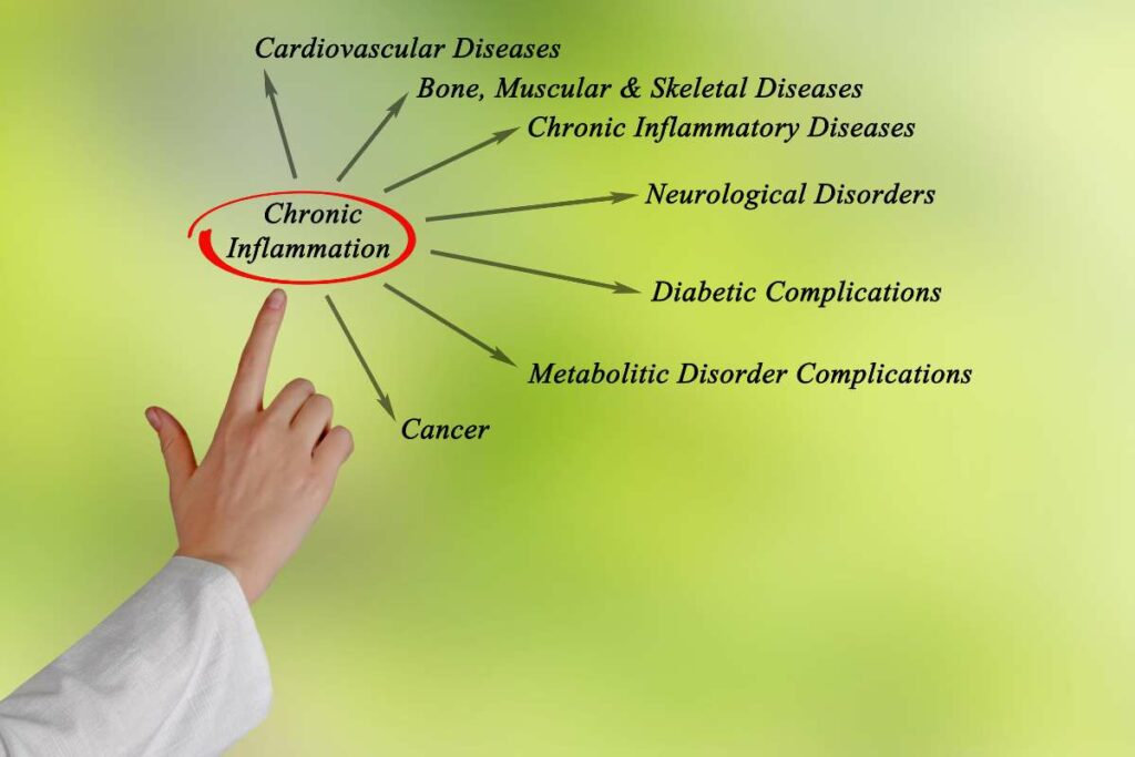 Inflammation Diet for Beginners chronic inflammation
