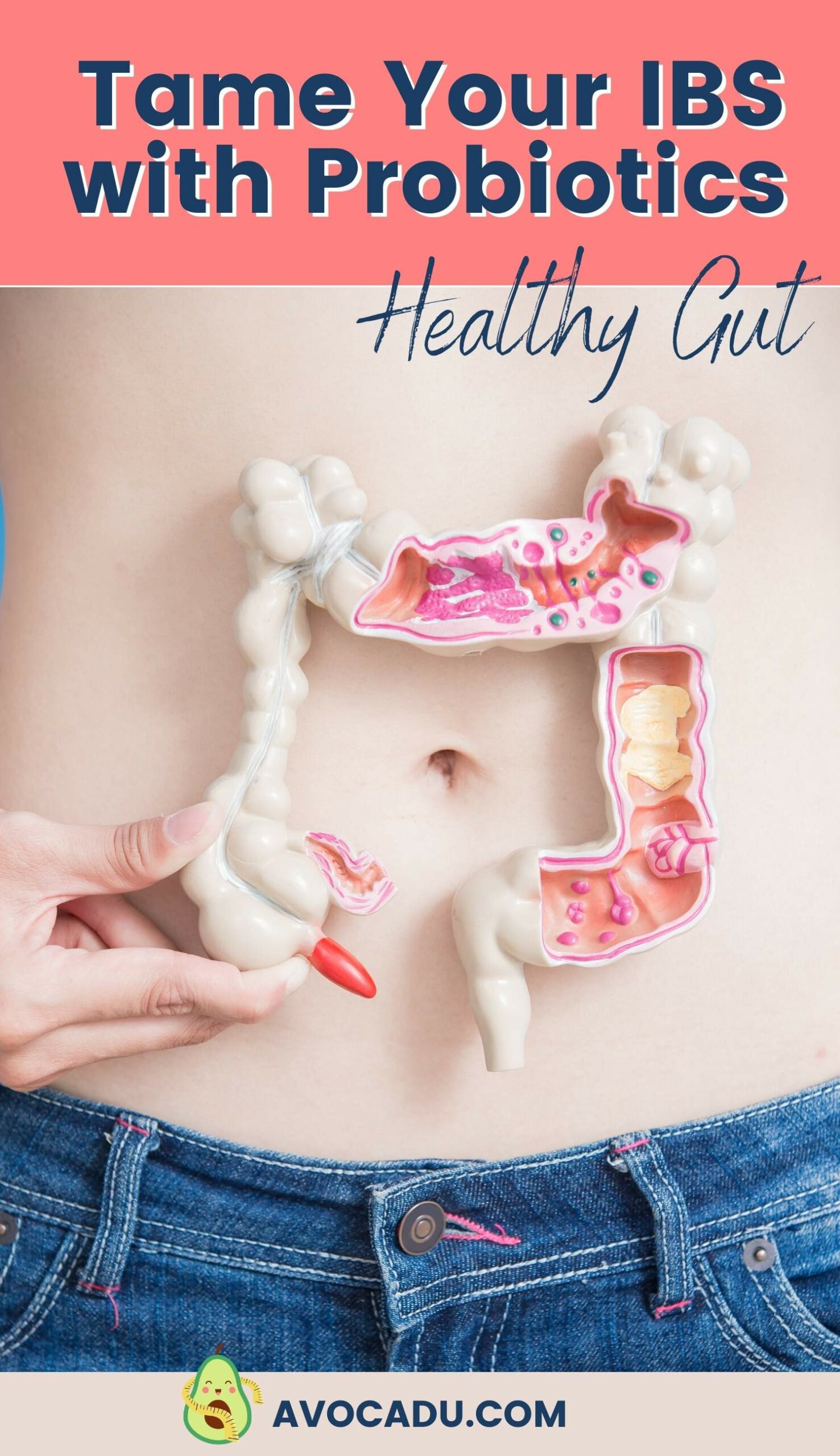 Probiotics for Digestive Disorders Relief for Irritable Bowel Syndrome