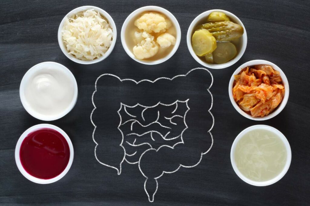 Probiotics for Digestive Disorders foods