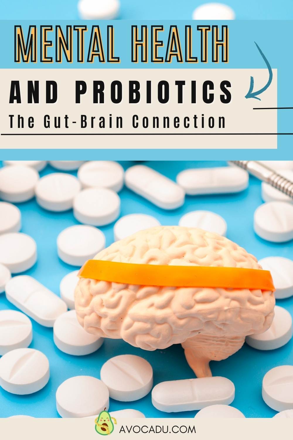 Probiotics for Mental Health The GutBrain Connection