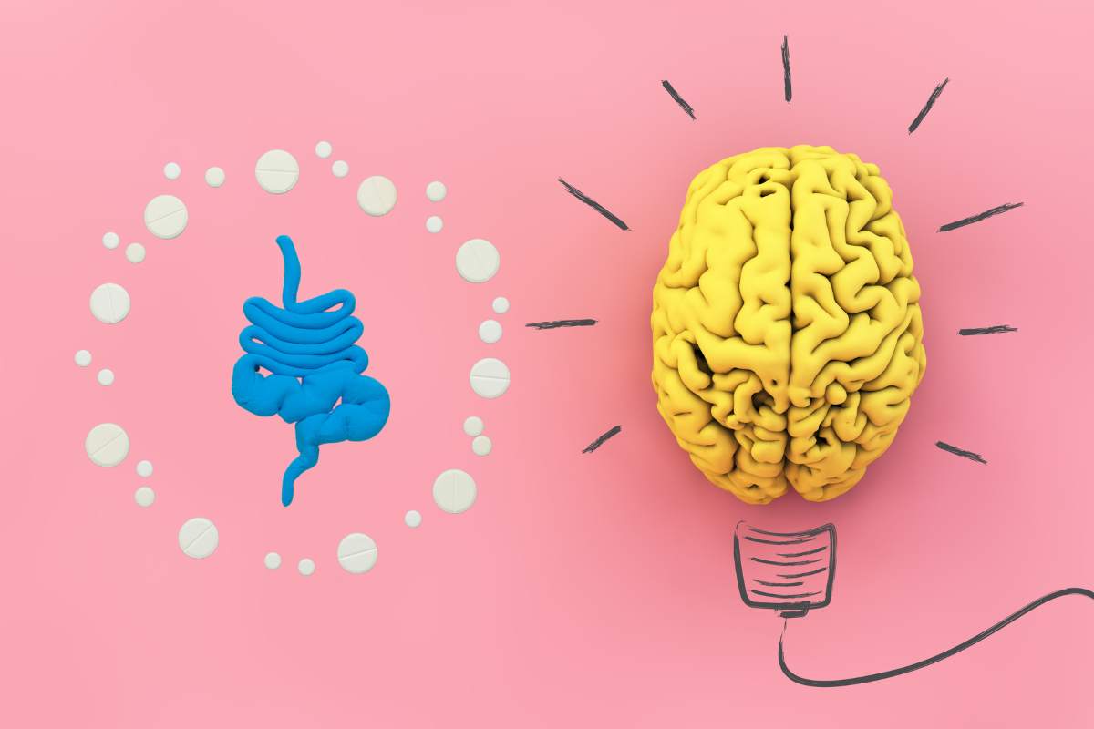 Probiotics For Mental Health The Gut Brain Connection