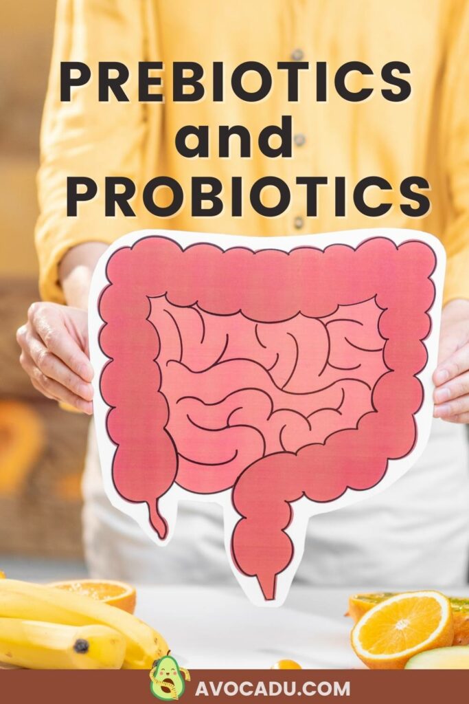 Prebiotic and Probiotics for Gut Health 1