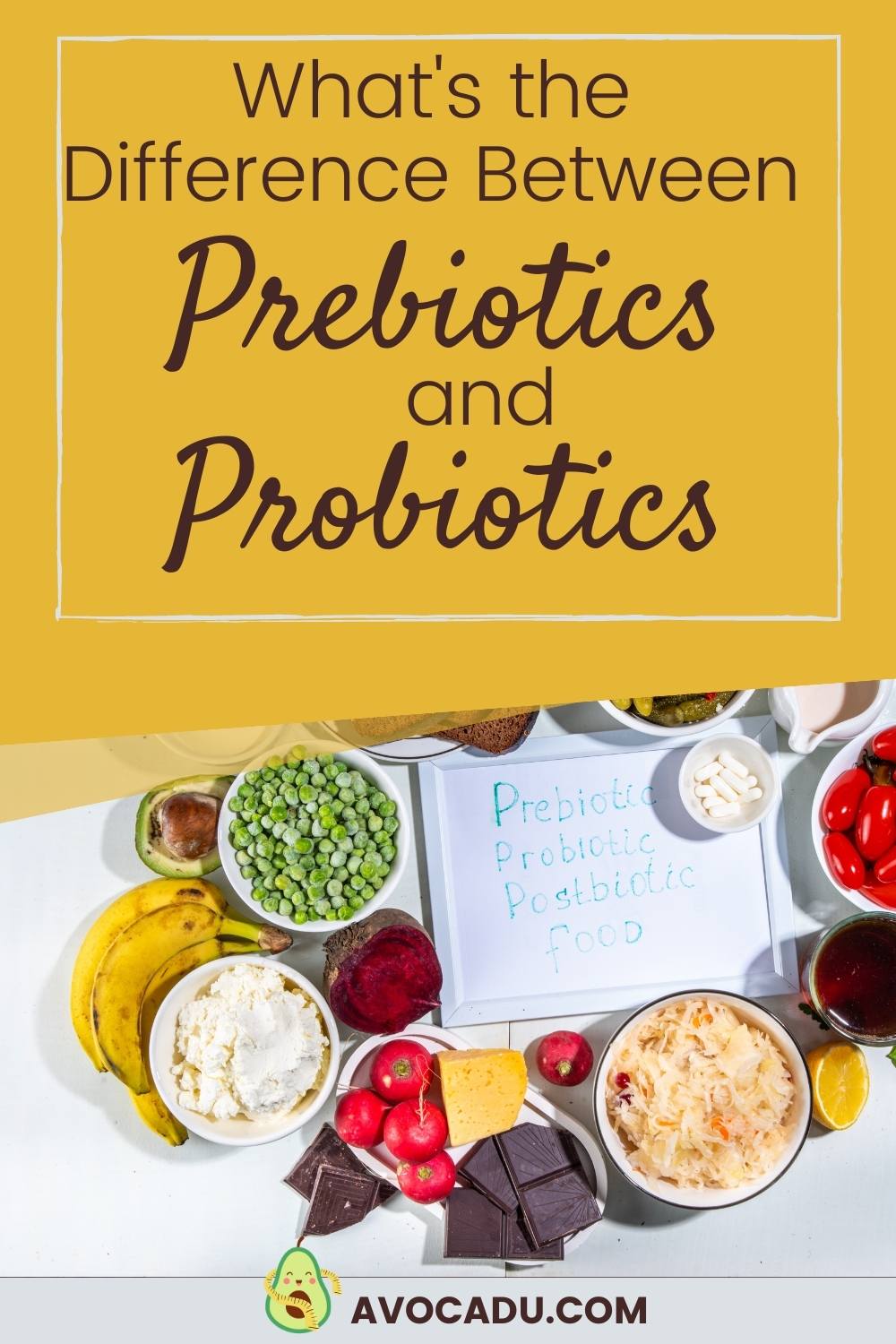 The Difference Between Prebiotics and Probiotics for Gut Health