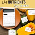 Calories vs Nutrients 4