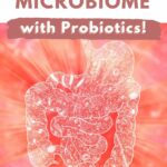 Balancing Your Microbiome with Probiotics - Pin 2