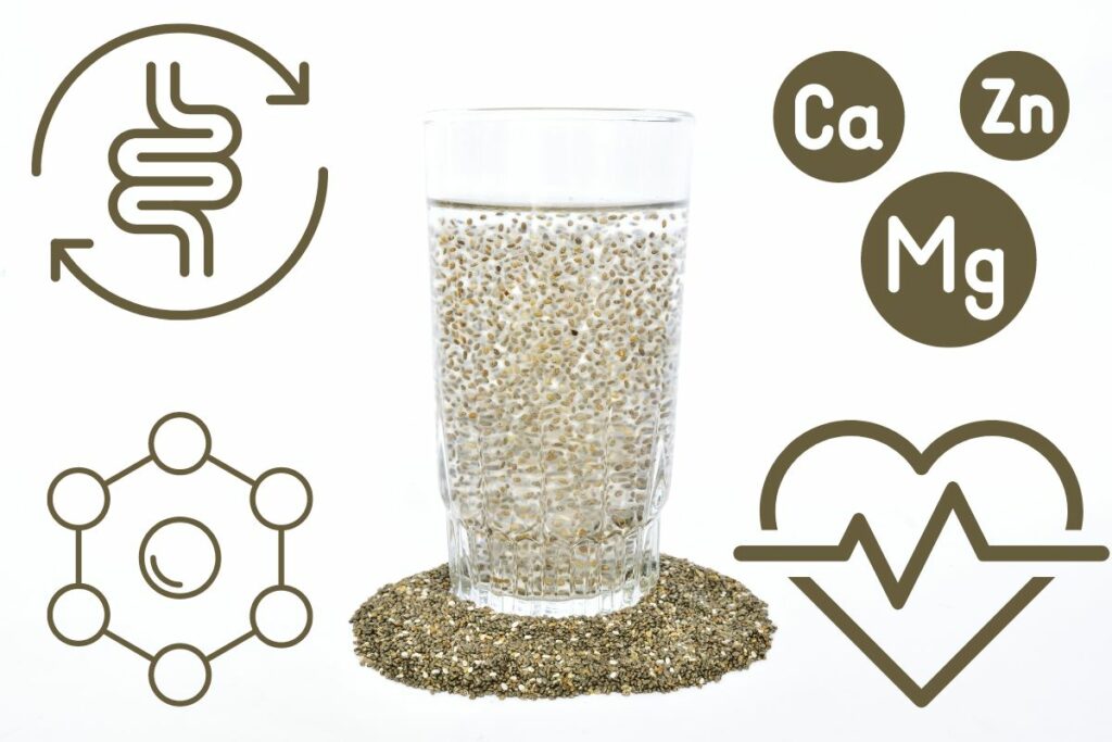 The Weight Loss Power of Chia Seed Water