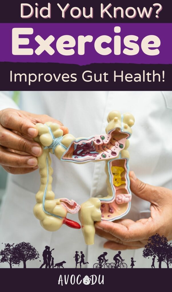 How Exercise Affects Gut Health Pin 1