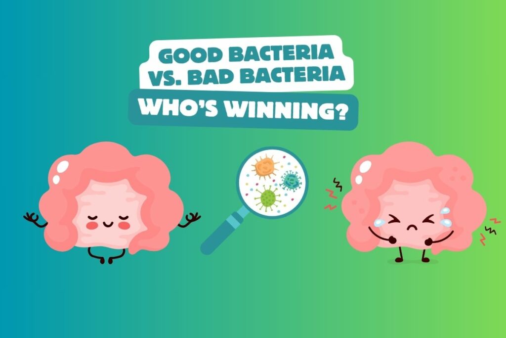 How Processed Foods Affect Gut Health good bacteria vs bad bacteria