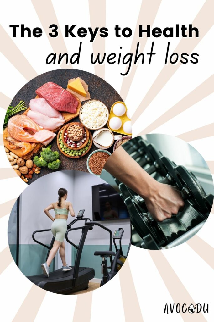 PIN - The Balanced Approach to Health & Weight Management for Women - feature