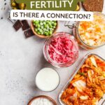 Gut Health & Fertility: The Connection You Need to Know