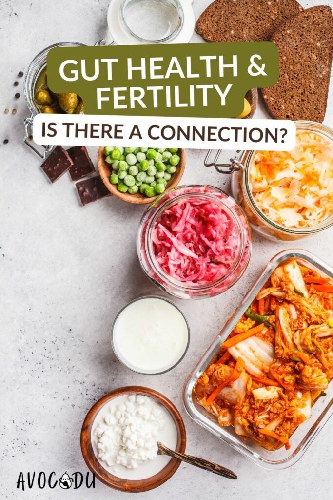 Gut Health & Fertility: The Connection You Need to Know