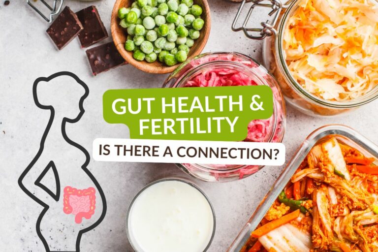 Gut Health & Fertility: The Connection You Need to Know