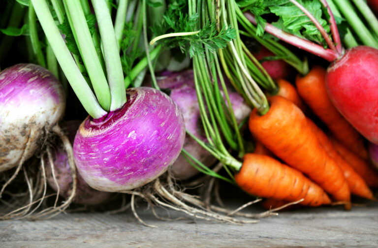 12 Great Plants to Pair with Turnips and Others to Stay Away From